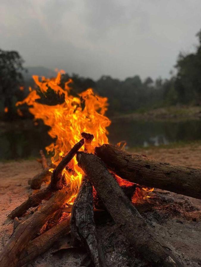 Coorg River Rock Camping Madikeri Exteriör bild