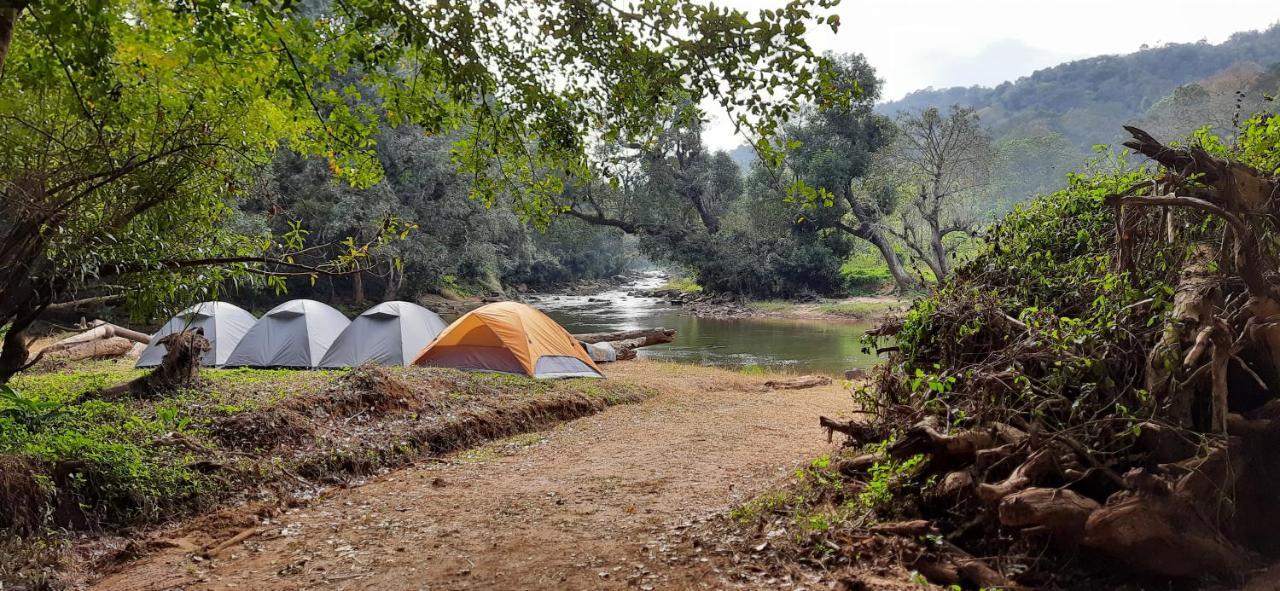 Coorg River Rock Camping Madikeri Exteriör bild