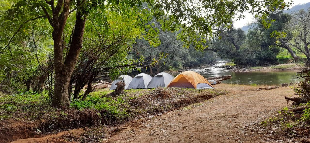 Coorg River Rock Camping Madikeri Exteriör bild
