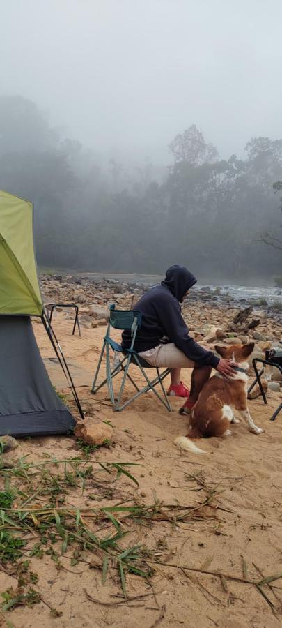 Coorg River Rock Camping Madikeri Exteriör bild