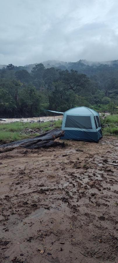 Coorg River Rock Camping Madikeri Exteriör bild