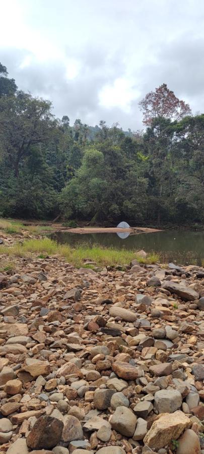 Coorg River Rock Camping Madikeri Exteriör bild