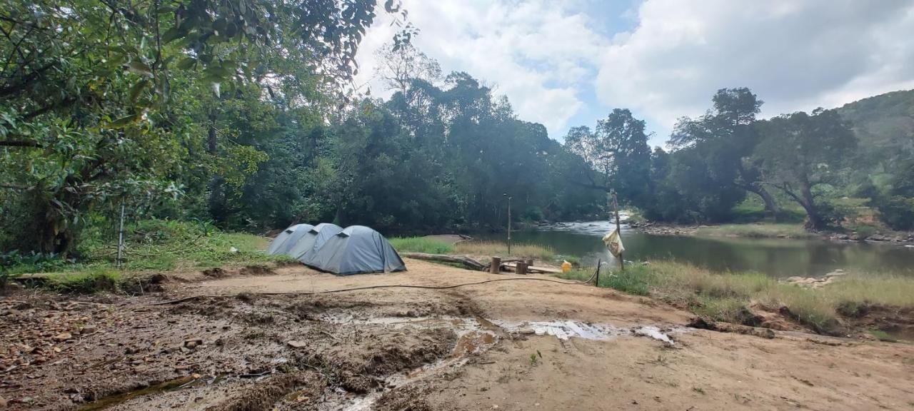 Coorg River Rock Camping Madikeri Exteriör bild