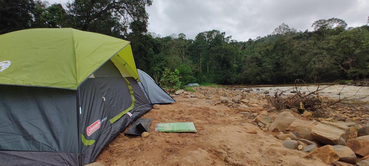 Coorg River Rock Camping Madikeri Exteriör bild